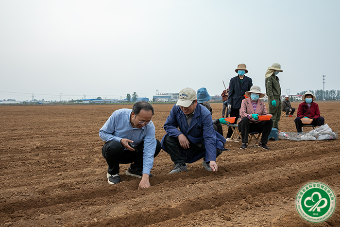 1.播种领导小组检查播种质量xiu.jpg