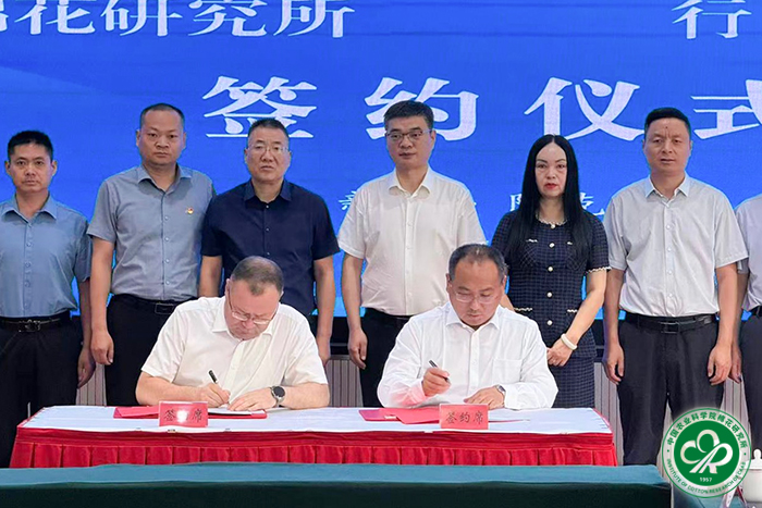 签约仪式xiu.jpg