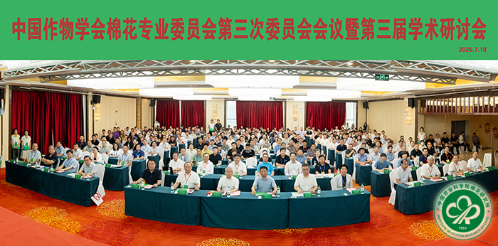 开幕式会议现场xiu.jpg
