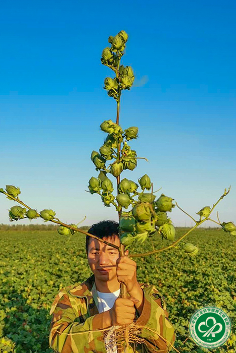 马金平xiu.jpg