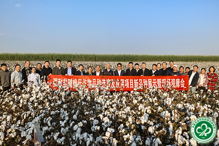 观摩现场xiu.jpg